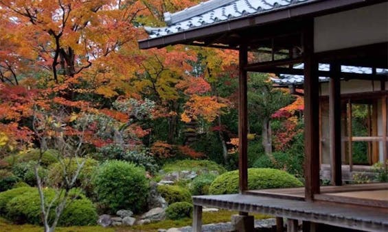 蓮昭寺 樹木葬墓・永代供養墓