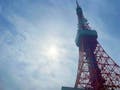 芝愛宕の森・光円寺樹木葬 芝愛宕の森からは東京タワーがご覧いただけます
