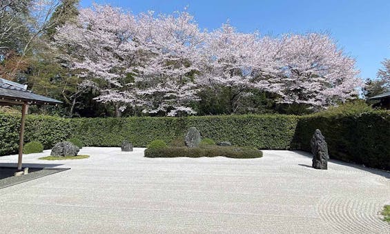 不断院 永代供養墓