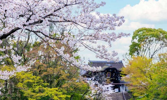 偲墓 頂後山 光照寺