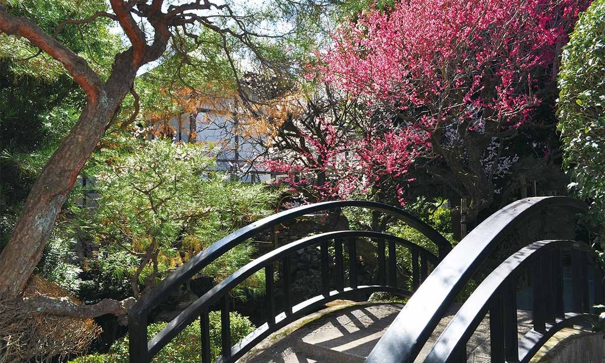 寶乘寺霊園 おもひでの径(みち)