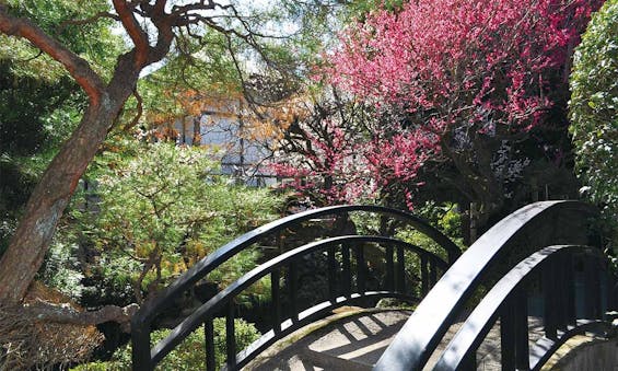 寶乘寺霊園 おもひでの径(みち)