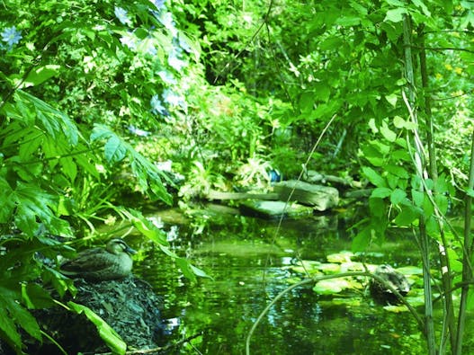 寶乘寺霊園 おもひでの径(みち)