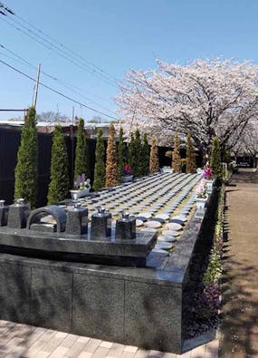 茅ヶ崎霊園 永久の郷 樹木葬墓