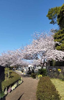 茅ヶ崎霊園 永久の郷 樹木葬墓