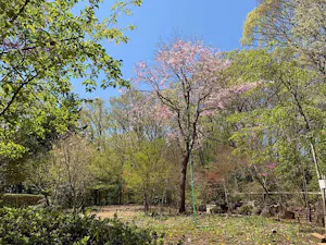 東京里山墓苑(川口町)の霊園