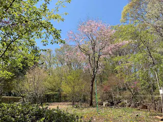 東京里山墓苑
