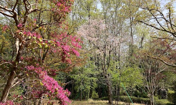 東京里山墓苑