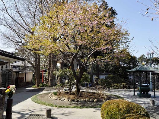 普門院「永代供養付墓いつくしみ」