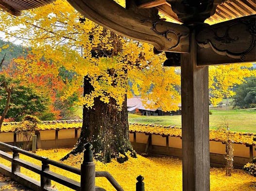 西教寺 永代供養墓