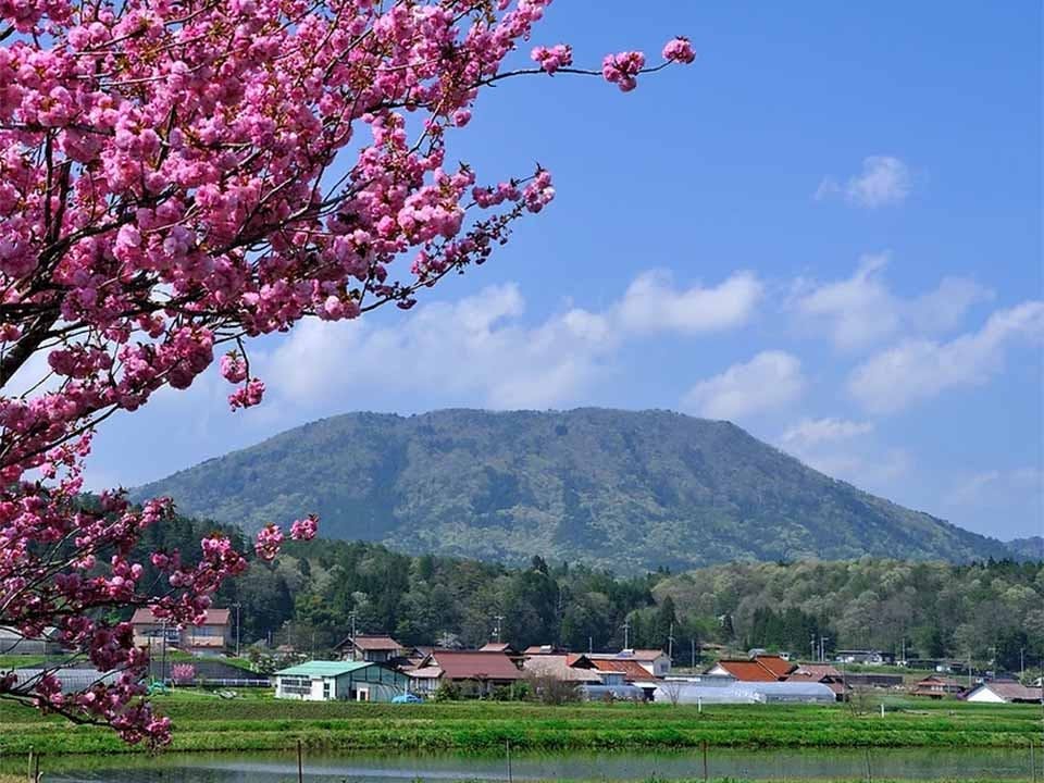 西教寺 永代供養墓