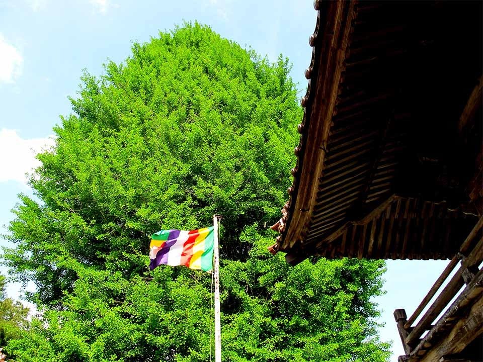 西教寺 永代供養墓