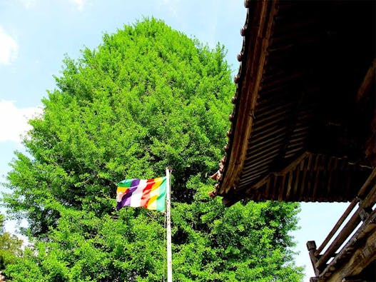 西教寺 永代供養墓