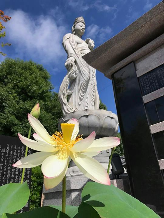 龍津寺おじま観音(静岡市清水区)の費用・口コミ・アクセス【いいお墓】
