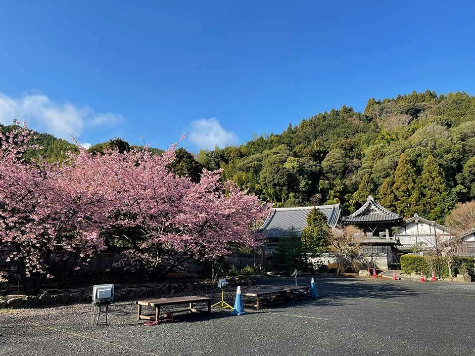 龍津寺おじま観音(静岡市清水区)の費用・口コミ・アクセス【いいお墓】