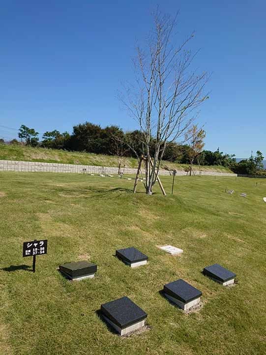 星の露 樹木葬墓地