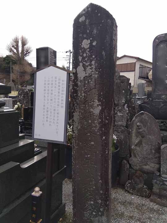 プレミアム横須賀久里浜樹木葬墓地