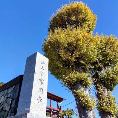 プレミアム横須賀久里浜樹木葬墓地