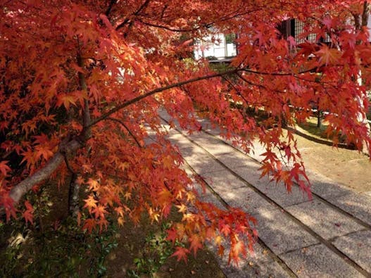 永興寺【納骨塔】