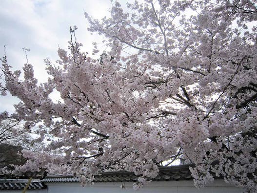 永興寺【納骨塔】