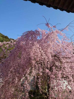 永興寺【納骨塔】