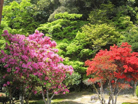 永興寺【納骨塔】