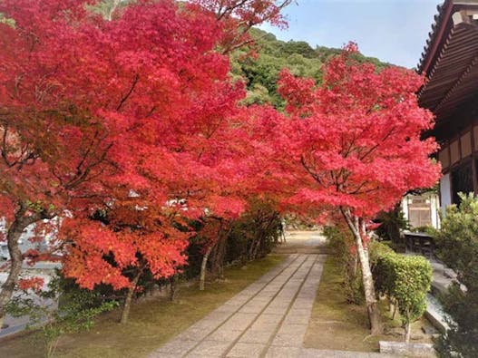 永興寺【納骨塔】