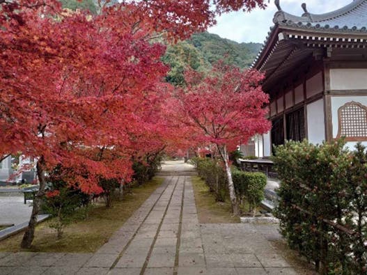 永興寺【納骨塔】