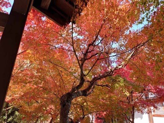 永興寺【納骨塔】