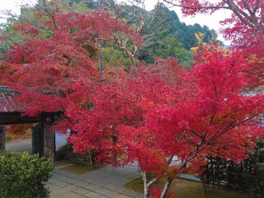 永興寺【納骨塔】