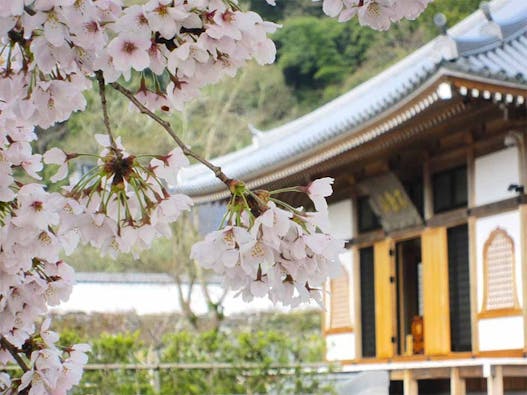 永興寺【納骨塔】