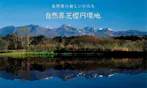 自然葬芝櫻円環地