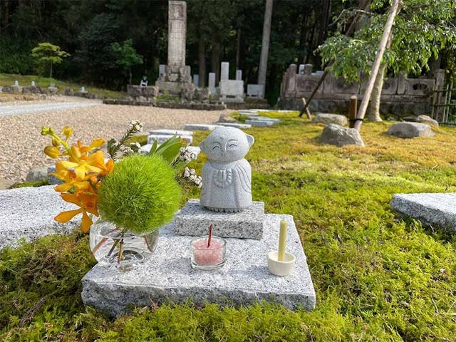 さばえ明厳寺 里山型樹木葬 木漏れ日