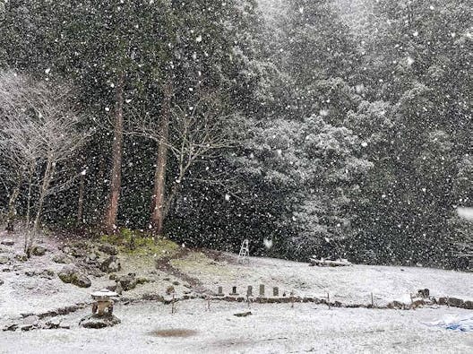 さばえ明厳寺 里山型樹木葬 木漏れ日