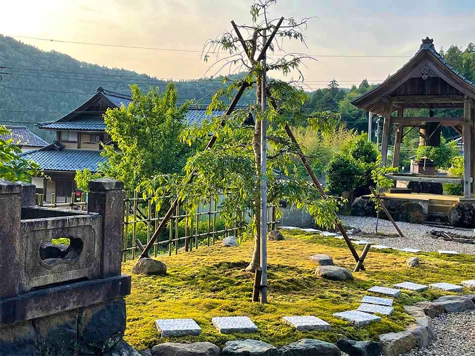 さばえ明厳寺 里山型樹木葬 木漏れ日
