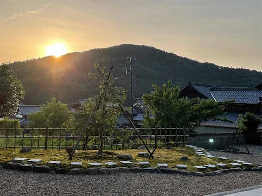 さばえ明厳寺 里山型樹木葬 木漏れ日