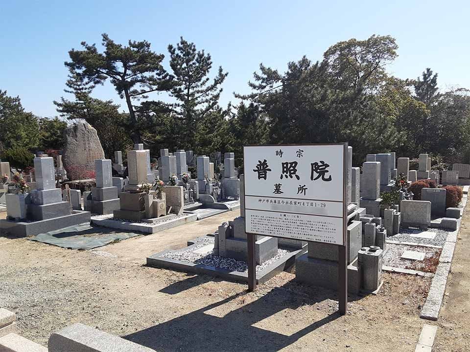 普照院 庭園葬 沙羅双樹