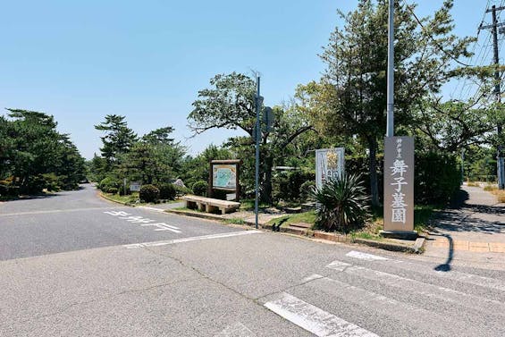 普照院 庭園葬 沙羅双樹