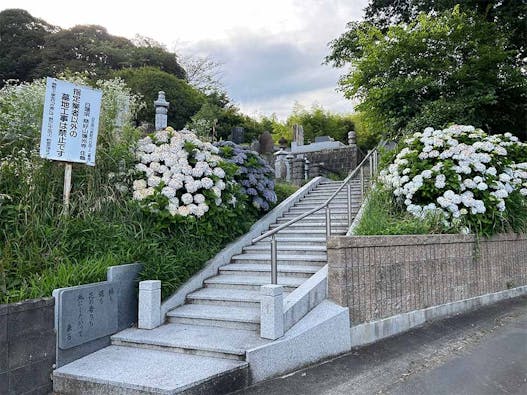 蓮光寺 のうこつぼ