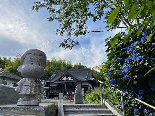 蓮光寺 のうこつぼ