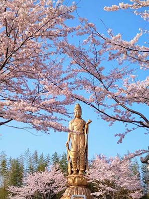 正雲寺 大分別院 納骨堂