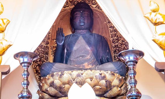 浄久寺 永代供養墓・樹木葬