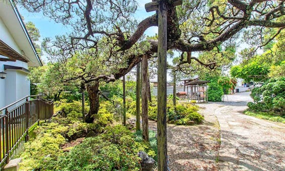 東泉寺 永代供養墓・樹木葬