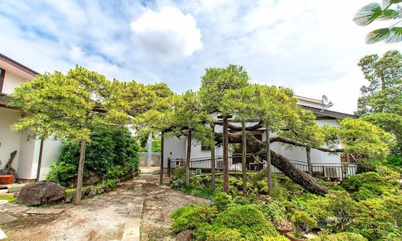 東泉寺 永代供養墓・樹木葬