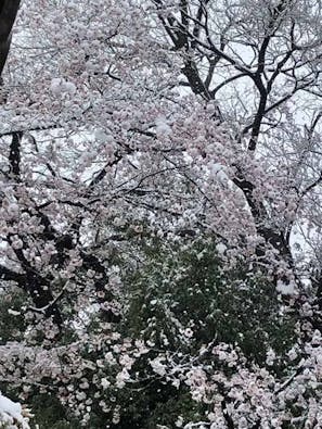 東明寺 永代供養墓