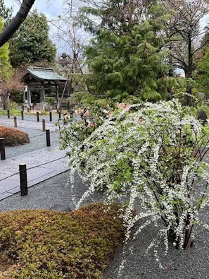 東明寺 永代供養墓