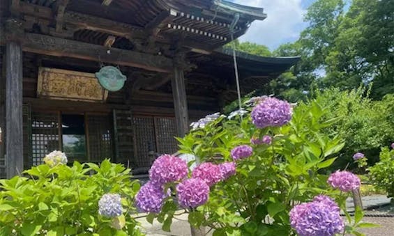 東明寺 永代供養墓