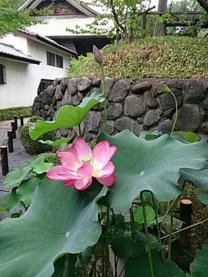 東明寺 永代供養墓