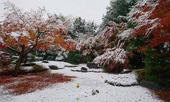 東明寺 永代供養墓