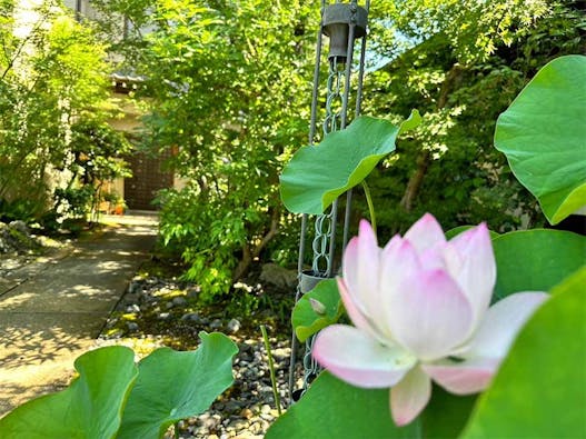 普賢寺 永代供養墓・樹木庭園墓